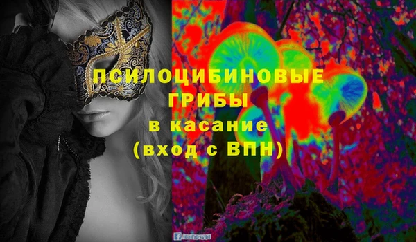 молекула духа Бугульма