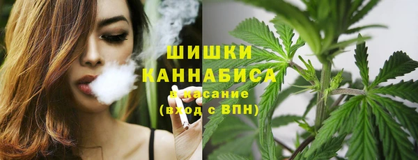 соль курить ск Богданович