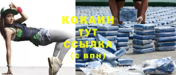 гашик Богородицк