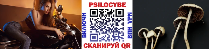 гидра как зайти  Невельск  Галлюциногенные грибы прущие грибы  закладки 