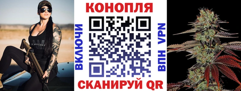 Конопля гибрид  где можно купить   Невельск 